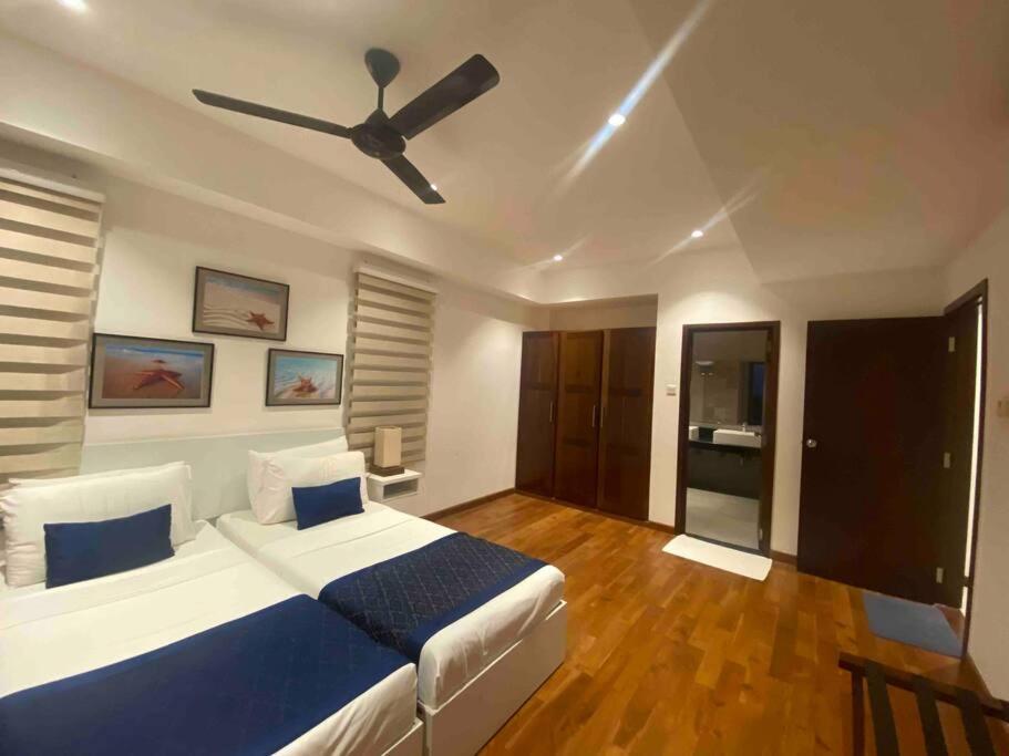 Apartment Oceanfront 3-2-01-