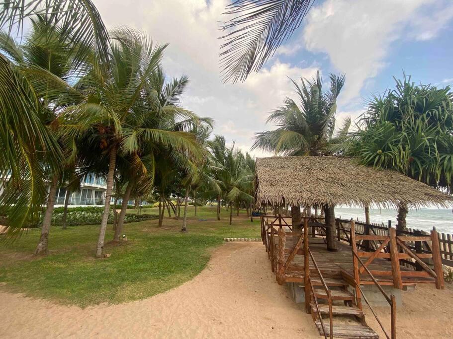 Apartment Oceanfront 3-2-01-