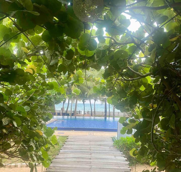 Oceanfront 3-2-01-